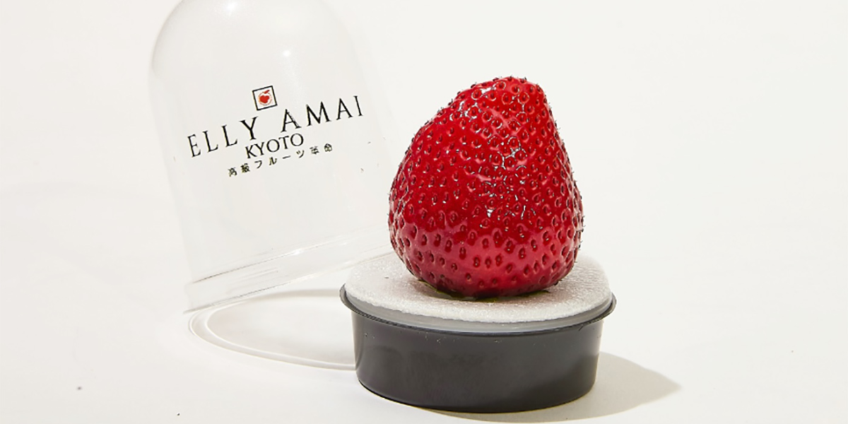 La fragola da 19 dollari che divide il web: lusso o follia?